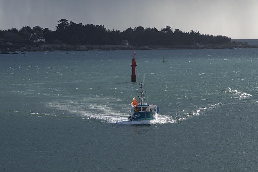 Domitys La Chaloupe Bleue Aparthotel Concarneau Kültér fotó
